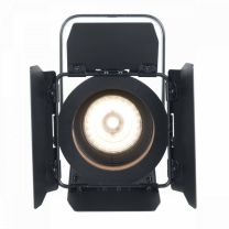 American DJ (ADJ) ENCOREFR20DTW Wash Light