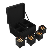 Chauvet FREEDOMPARQ9X4 Wash Light Package