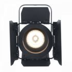 American DJ (ADJ) ENCOREFR20DTW Wash Light